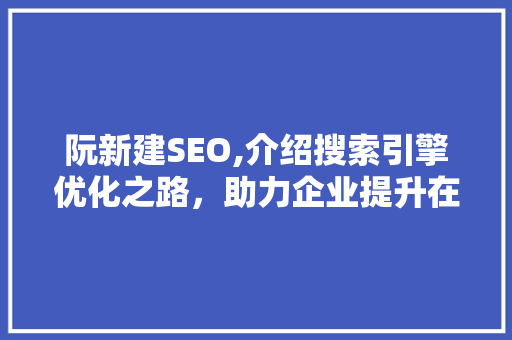 阮新建SEO,介绍搜索引擎优化之路，助力企业提升在线竞争力