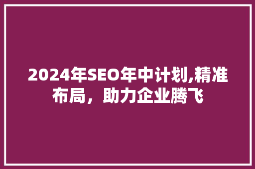 2024年SEO年中计划,精准布局，助力企业腾飞