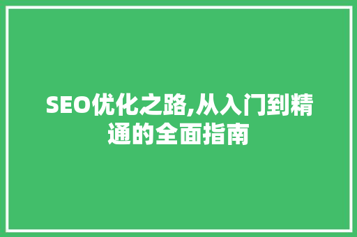 SEO优化之路,从入门到精通的全面指南