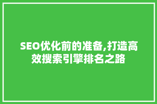 SEO优化前的准备,打造高效搜索引擎排名之路