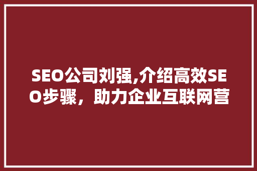 SEO公司刘强,介绍高效SEO步骤，助力企业互联网营销