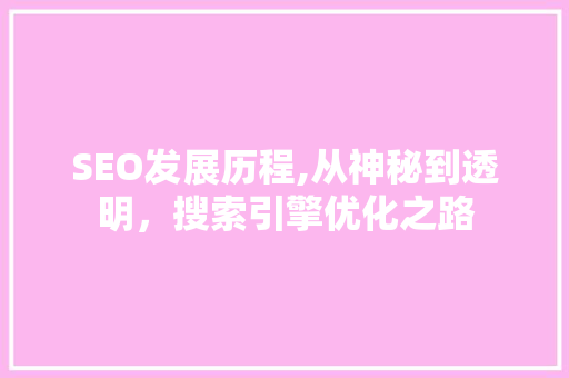 SEO发展历程,从神秘到透明，搜索引擎优化之路