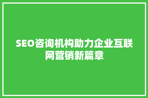 SEO咨询机构助力企业互联网营销新篇章