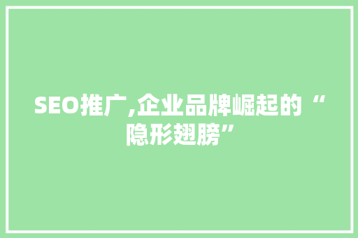SEO推广,企业品牌崛起的“隐形翅膀”