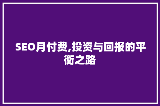 SEO月付费,投资与回报的平衡之路
