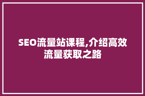 SEO流量站课程,介绍高效流量获取之路