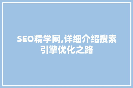 SEO精学网,详细介绍搜索引擎优化之路