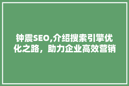钟震SEO,介绍搜索引擎优化之路，助力企业高效营销