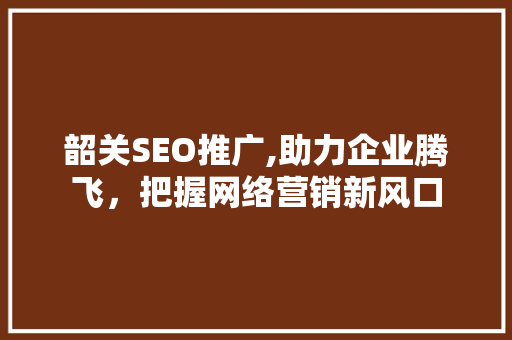 韶关SEO推广,助力企业腾飞，把握网络营销新风口  第1张