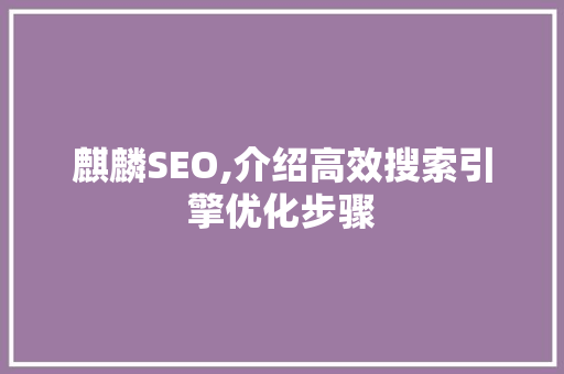 麒麟SEO,介绍高效搜索引擎优化步骤