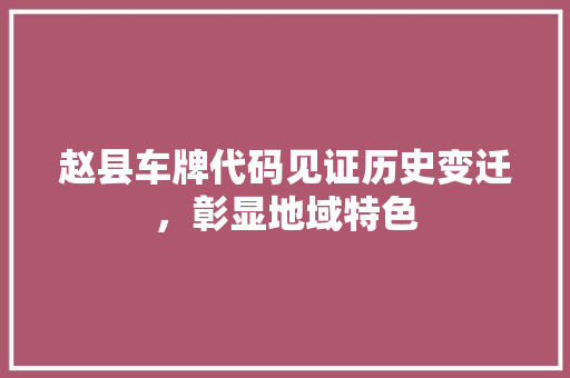 赵县车牌代码见证历史变迁，彰显地域特色