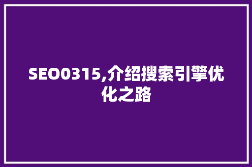 SEO0315,介绍搜索引擎优化之路