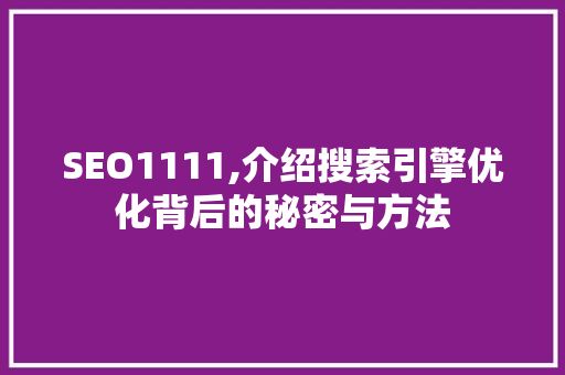 SEO1111,介绍搜索引擎优化背后的秘密与方法