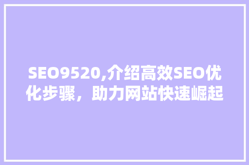 SEO9520,介绍高效SEO优化步骤，助力网站快速崛起