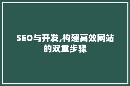 SEO与开发,构建高效网站的双重步骤