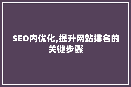 SEO内优化,提升网站排名的关键步骤