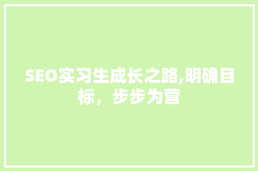 SEO实习生成长之路,明确目标，步步为营  第1张