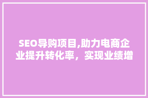 SEO导购项目,助力电商企业提升转化率，实现业绩增长