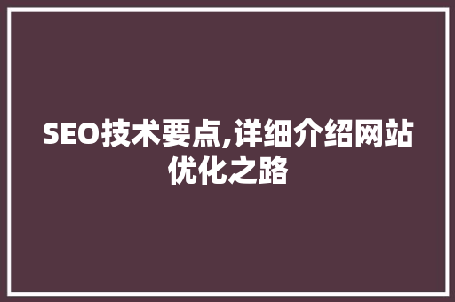 SEO技术要点,详细介绍网站优化之路