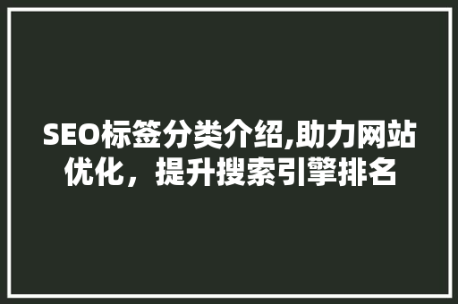 SEO标签分类介绍,助力网站优化，提升搜索引擎排名  第1张