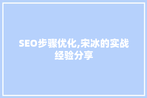 SEO步骤优化,宋冰的实战经验分享
