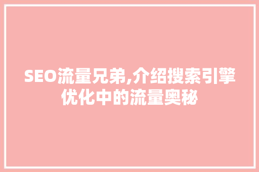 SEO流量兄弟,介绍搜索引擎优化中的流量奥秘