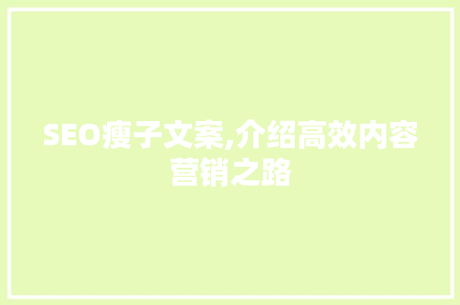 SEO瘦子文案,介绍高效内容营销之路
