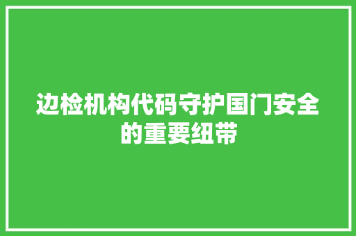 边检机构代码守护国门安全的重要纽带