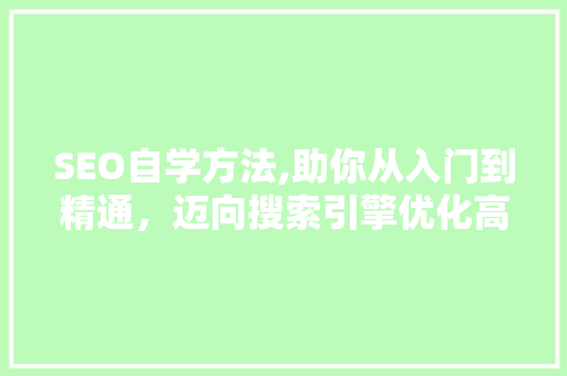 SEO自学方法,助你从入门到精通，迈向搜索引擎优化高手