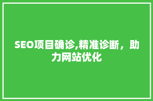 SEO项目确诊,精准诊断，助力网站优化  第1张