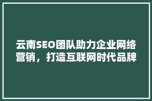云南SEO团队助力企业网络营销，打造互联网时代品牌新形象