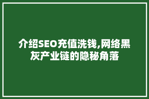 介绍SEO充值洗钱,网络黑灰产业链的隐秘角落