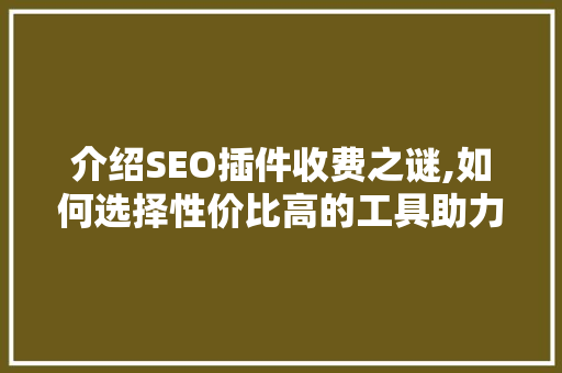 介绍SEO插件收费之谜,如何选择性价比高的工具助力网站优化