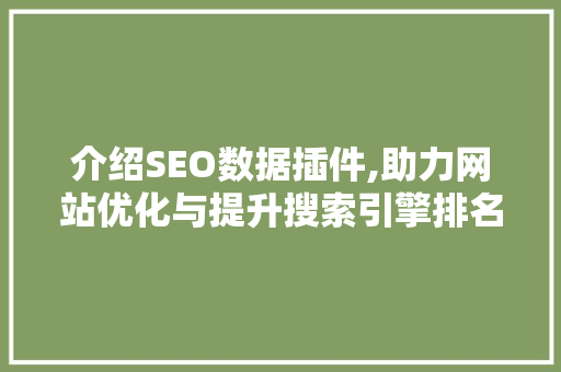 介绍SEO数据插件,助力网站优化与提升搜索引擎排名