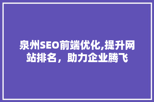 泉州SEO前端优化,提升网站排名，助力企业腾飞