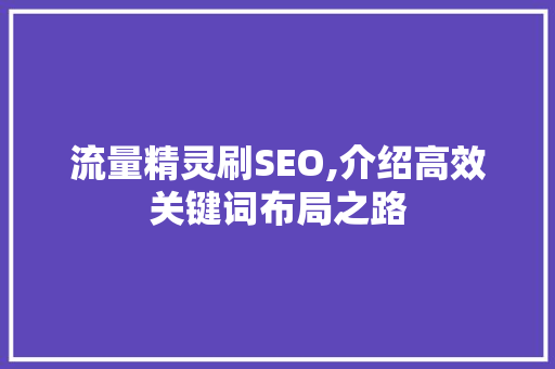 流量精灵刷SEO,介绍高效关键词布局之路