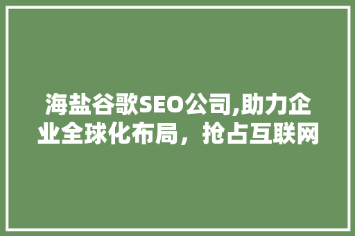 海盐谷歌SEO公司,助力企业全球化布局，抢占互联网市场先机