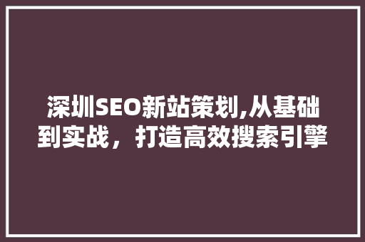 深圳SEO新站策划,从基础到实战，打造高效搜索引擎优化步骤