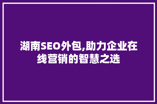 湖南SEO外包,助力企业在线营销的智慧之选