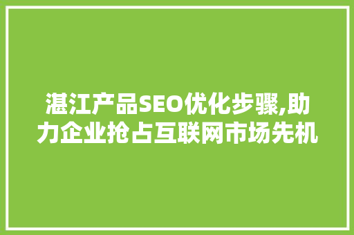 湛江产品SEO优化步骤,助力企业抢占互联网市场先机