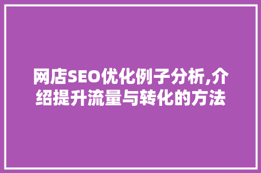 网店SEO优化例子分析,介绍提升流量与转化的方法  第1张