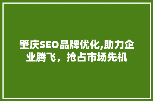 肇庆SEO品牌优化,助力企业腾飞，抢占市场先机