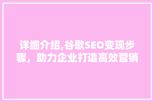 详细介绍,谷歌SEO变现步骤，助力企业打造高效营销之路