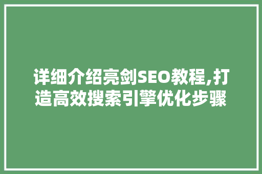 详细介绍亮剑SEO教程,打造高效搜索引擎优化步骤