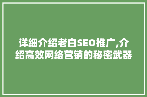 详细介绍老白SEO推广,介绍高效网络营销的秘密武器