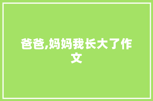 谷歌SEO优化,贴吧运营者的必读指南