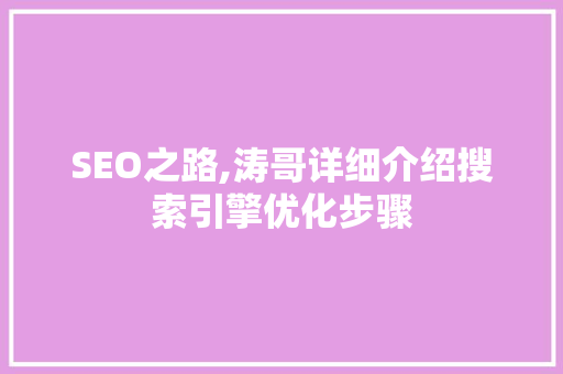 SEO之路,涛哥详细介绍搜索引擎优化步骤
