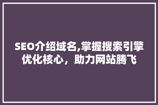 SEO介绍域名,掌握搜索引擎优化核心，助力网站腾飞