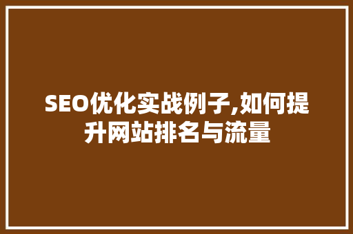 SEO优化实战例子,如何提升网站排名与流量  第1张
