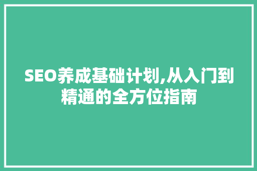 SEO养成基础计划,从入门到精通的全方位指南